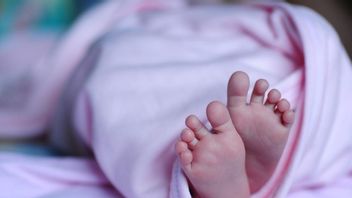 Terlibat Praktik Aborsi, ASN Kota Bogor Diberhentikan