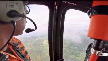 Forest Hoarding Makes It Difficult To Search For Explosioning Helicopters Falling In Tanah Bumbu, South Kalimantan