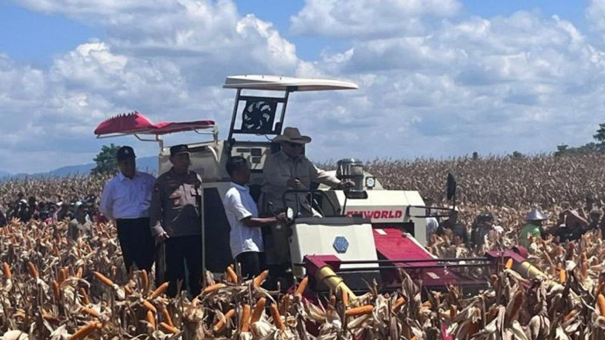 Presiden Prabowo Tunggangi Machine Kupas Corn Saat Panen Raya Di Bengkayang Kalbar