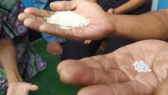 Beras Plastik Kembali Ditemukan Warga Cianjur dalam Karung Bantuan Kemensos