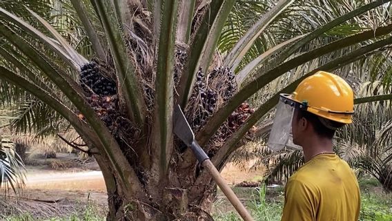 L'ouverture d'un certain nombre de défis dans l'industrie du secteur des produits de première nécessité