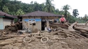 Bencana Alam di Sumatra: Akibat Pemerintah Terlalu Pro Ekonomi, Kurang Peduli Masalah Lingkungan