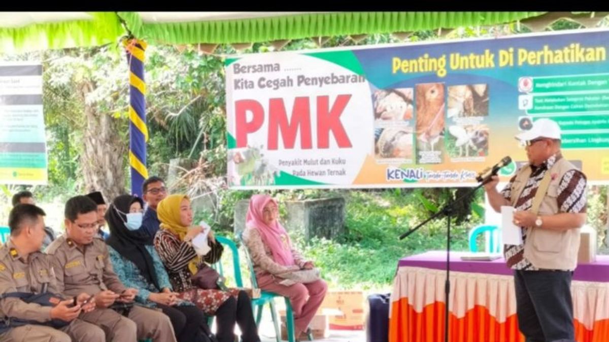 Karantina Pertanian Palembang Vaksinasi 10.329 Sapi, Program Bersama Pemkab OKI 