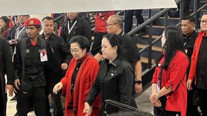 被Megawati调情以换取角色成为pdip ketum,Puan:祈祷萨贾