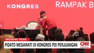 Momen Megawati Menangis Saat Bertemu Hasto di Kongres PDIP