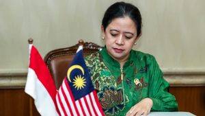 Bertemu Ketua DPR Malaysia, Puan Bawa Isu Perlindungan WNI dan Pekerja Migran
