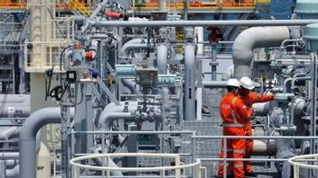 石油・ガス局長:シセムIガスパイプラインの進捗状況 96%