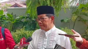 Pramono Will Continue Anies' Ala Infiltration Well To Control Floods: Various Ways Must Be Continued