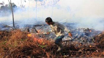 BMKG:アチェは乾季を開始し、森林と土地の火災に注意してください