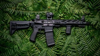 Rihanna's House Is Shot With an AR-15, a Woman Is Arrested