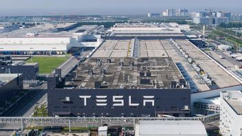 Tesla expansion à Giga Shanghai, veut-il produire des voitures électriques bon marché?