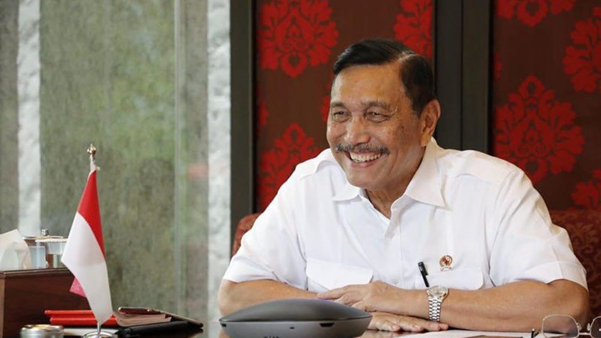 透露，Luhut Jabat董事会成员Apdesi的主席谁兴奋了Jokowi 3时期