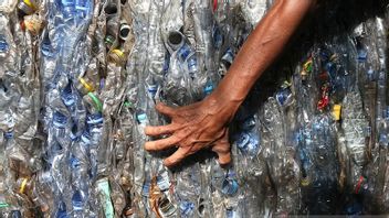 Government Encourages Industry Related To Selulosa To Support Sustainable Recycling Materials