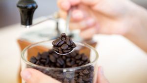 Mengenal Kopi Decaf, Pilihan Tepat Minum Kafein Tetap Tidur Nyenyak