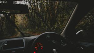 Penjelasan Polisi soal Viral Mobil di Tengah Sawah