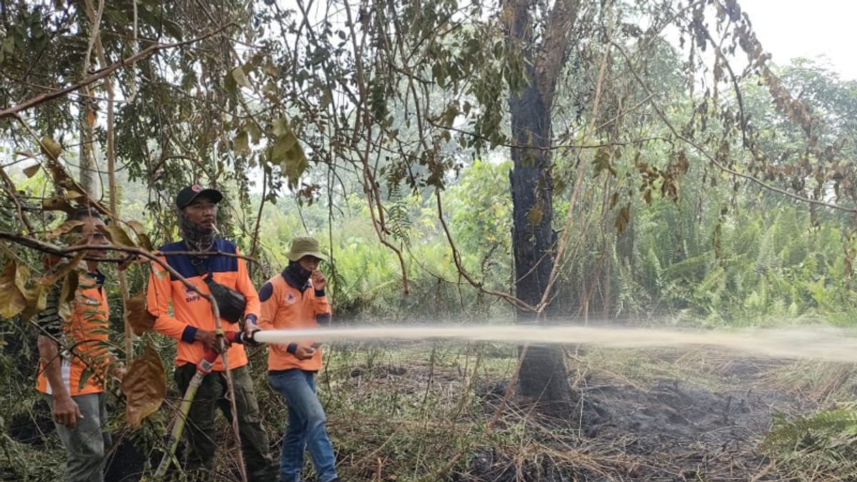 Hotspots In West Kalimantan Drop Drastically Due To High Intensity Rain