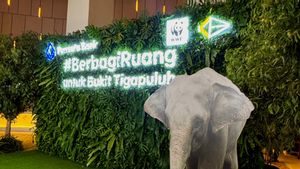 Dibintangi Chicco Jerikho, Permata Bank dan WWF Ajak Lindungi Gajah Sumatera lewat Dokumenter