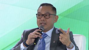 Wamen Investasi Akui Produksi Energi Hijau di RI Masih Mahal