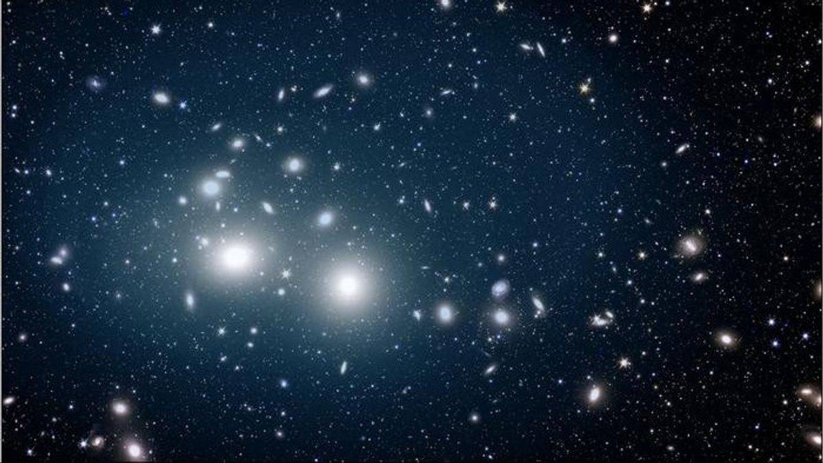 厄克利德望远镜在佩尔塞乌斯星系系群中发现了1.5万亿耶利米五角大楼星星