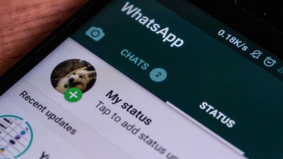 WhatsAppの新しいプライバシールールに同意しない場合のユーザーの結果