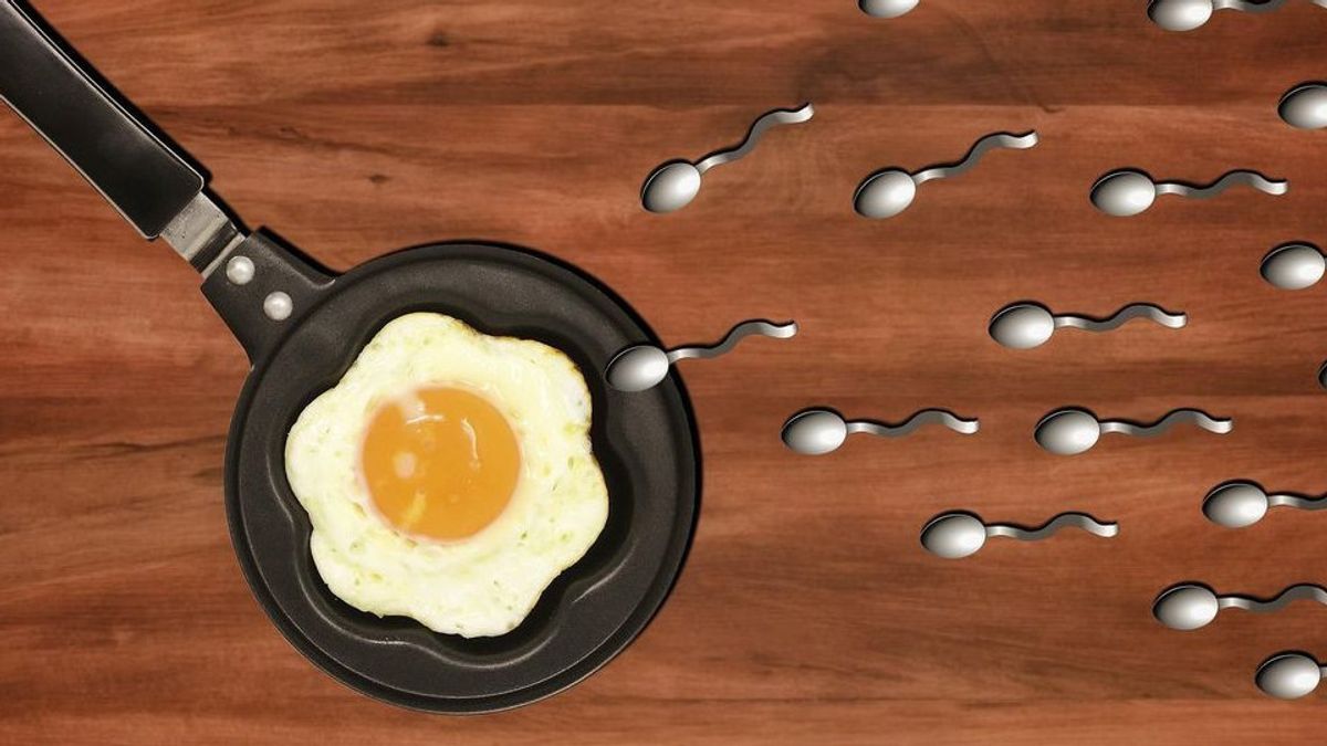 10 Makanan Penyubur Sperma dari Bahan Organik