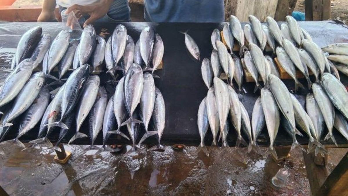 古邦渔民捕获因恶劣天气而急剧下降