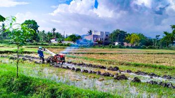 Lapas Lombok Barat Tanam Padi untuk Dukung Ketahanan Pangan Nasional