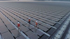 L'énergie solaire chinoise dépassera le charbon pour la première fois en 2026