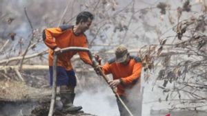 Forest And Land Fires In Riau, 8 Tons Of Salt Sprinkled By The Indonesian Air Force For Weather Modification