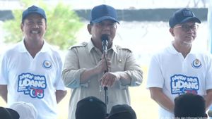 Megah办公室要求推迟，Prabowo选择产生现金的项目