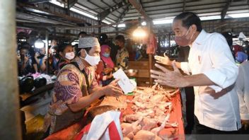 BLT Minyak Goreng Banyak Dicibir, tapi Jokowi Tetap Optimis