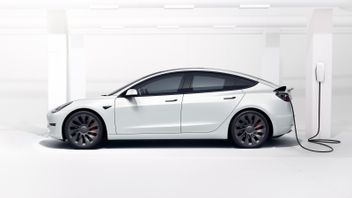 Tesla Memilih Malaysia sebagai Basis Bisnis Operasional di Asia Tenggara