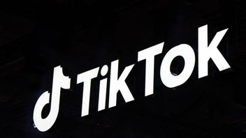 TikTok在休假期间监控儿童数字活动的提示