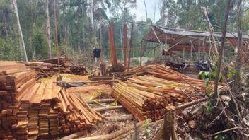 中加里曼丹刀屋的3名非法采伐嫌疑人被捕,265件梅兰蒂木材被捕