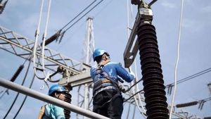 يجب أن تكون PLN مشرقة عندما تكون سوماترا مظلمة