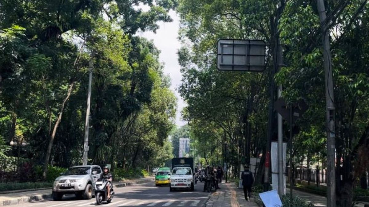 L’entrée de la pluie, l’entretien et l’inspection des arbres à Bogor accélérés