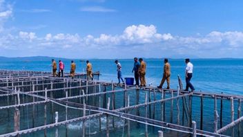 Bank Indonesia Explores Cooperation in the Fisheries Sector in Natuna