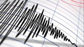 BMKG:NTT Nagekeo的5.6地震,原因是Flores的上升断层