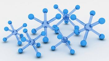 Stages That Occur In The Krebs Cycle In The Body
