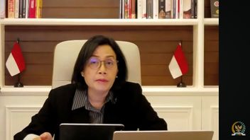 Failed To Control Debt And Fiscal, Celios Calls Sri Mulyani Losing Its Technical Side