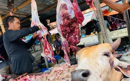 Harga Daging Sapi Jelang 'Meugang' di Meulaboh Aceh Barat Anjlok, Pedagang Mengaku Rugi