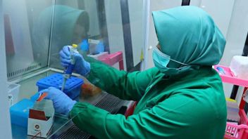 Kemenkes Rekrut 2.095 Partisipan Uji Klinik Vaksin TBC M72