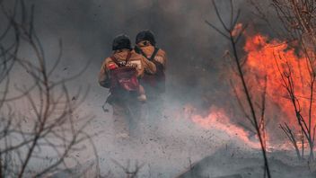 5年間で、ワリは南スマトラ島の森林火災が100万ヘクタールに達したと指摘した