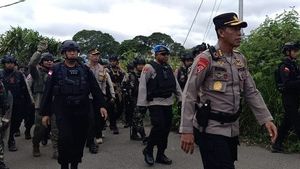 Penembakan Pesawat Caravan di Intan Jaya, Polisi Temukan Empat Lubang Proyektil Peluru