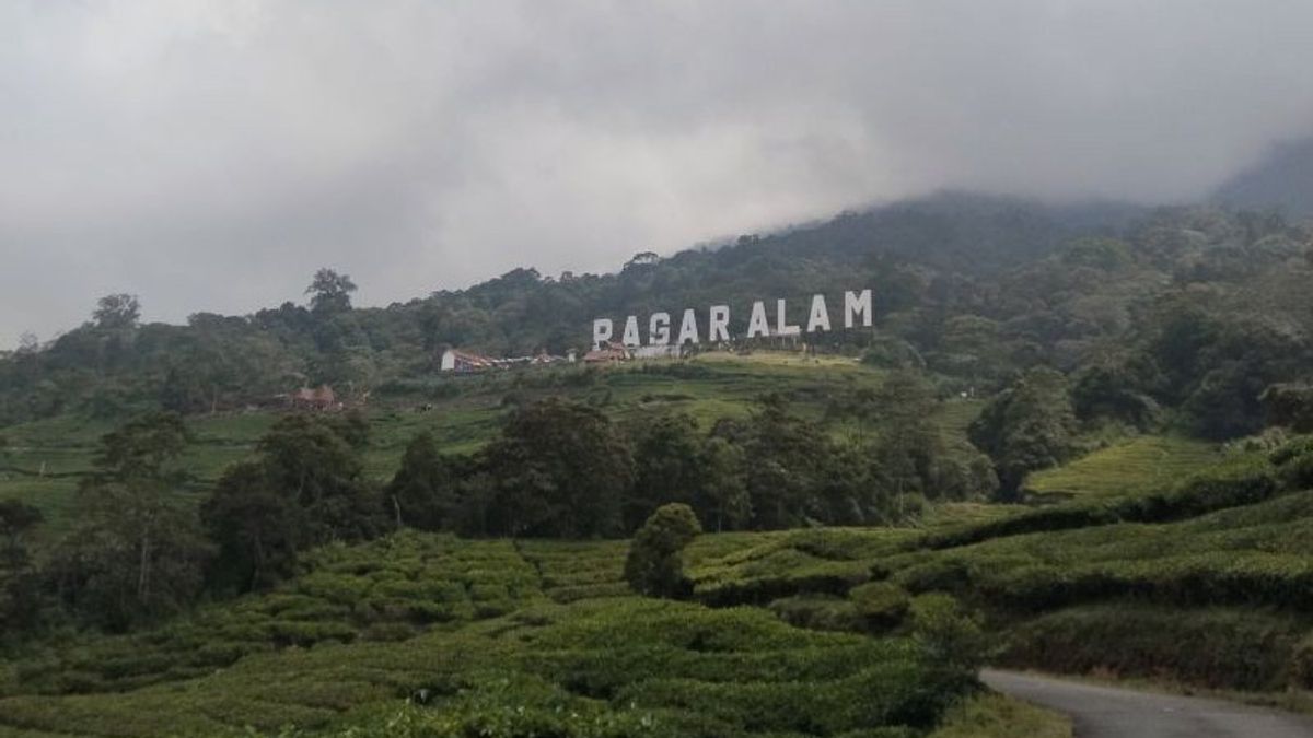 Alert Status, BPBD Pagaralam Urges Climbers Not To Approach Dempo Crater Radius 1 Km