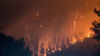 わずか1日で、フランスで焼かれた土地の面積は2,700ヘクタール増加