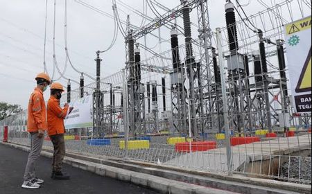 Dorong Transisi Energi, PLN Lakukan Efisiensi Jaringan dan Cofiring Biomassa