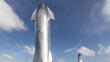 イーロンマスク自己信頼、8週間で再びスターシップロケットを打ち上げることができます