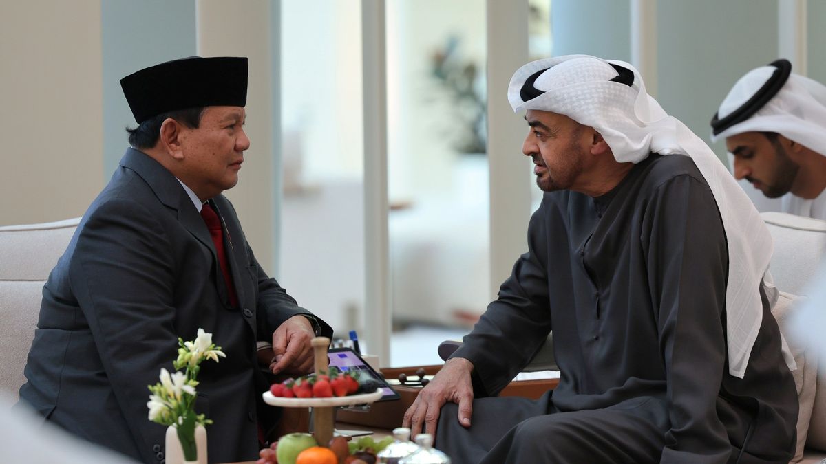 Meeting MBZ, Prabowo Promotes Defense Cooperation with the UAE