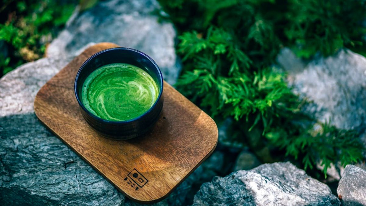 Perbedaan Kualitas Matcha Berdasarkan Tiga Waktu Panennya